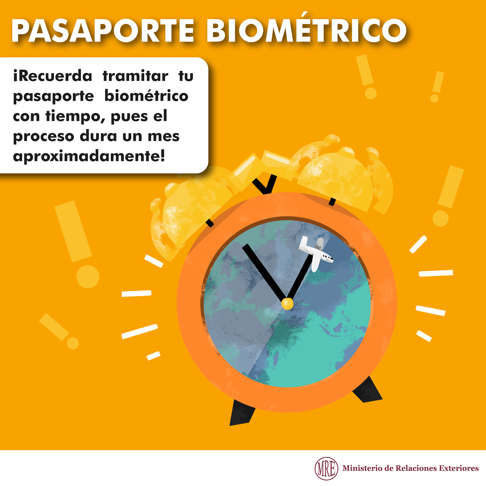 Pasaporte Biom[etrico 3.png